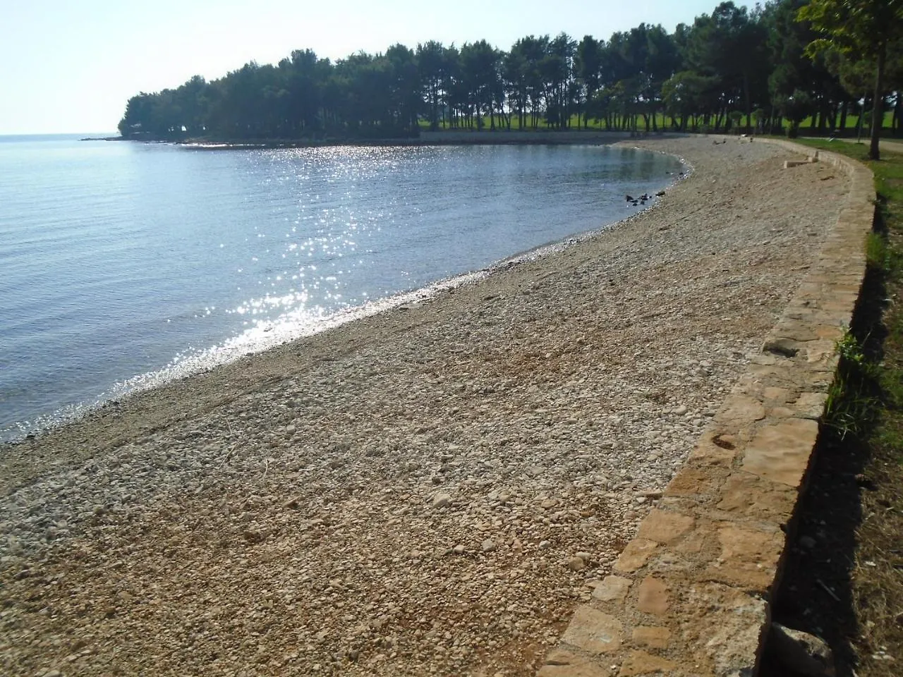 Villa Maria Novigrad Istria Penzion